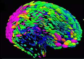 Illustration for article titled This Is What Game Consoles Really Do To Your Brain